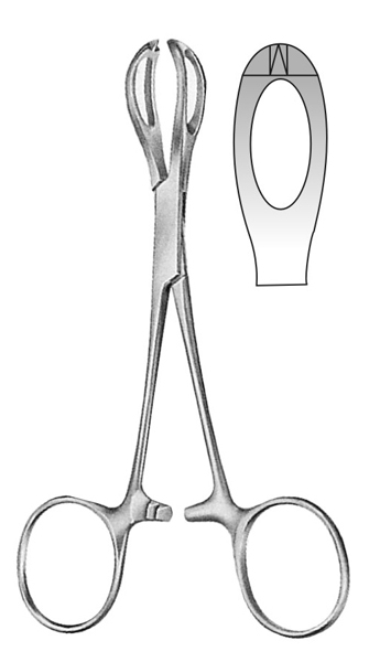 Lanes Tissue Forceps, Cross-Serrated, 1x2 Teeth, 5 3/4" (14.6 Cm)